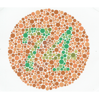 Kanehara Ishihara Colour Blindness Test Book  - 