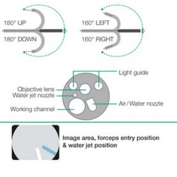 Fujifilm EC-760ZP-VM Eluxeo 700 Series Colonoscope - 