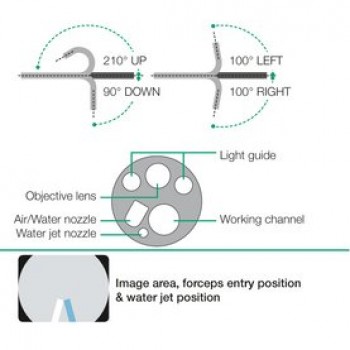 Fujifilm EG-760R Eluxeo 700 Series Gastroscope - 